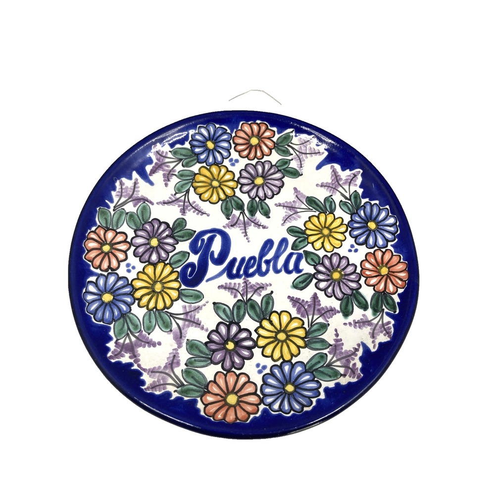 Vintage Puebla Talavera Mexico Pottery Hand Painted Flower Plate Signed‎ 8.75in